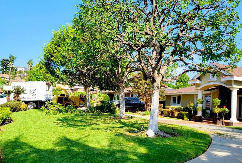 Finished property with a manicured lawn and Santos Tree Services truck