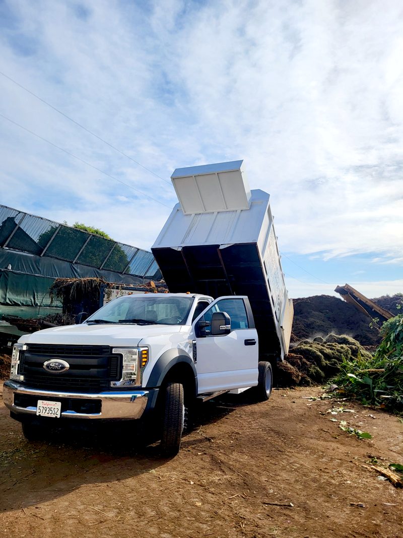 Clean Up — Santos Tree Service