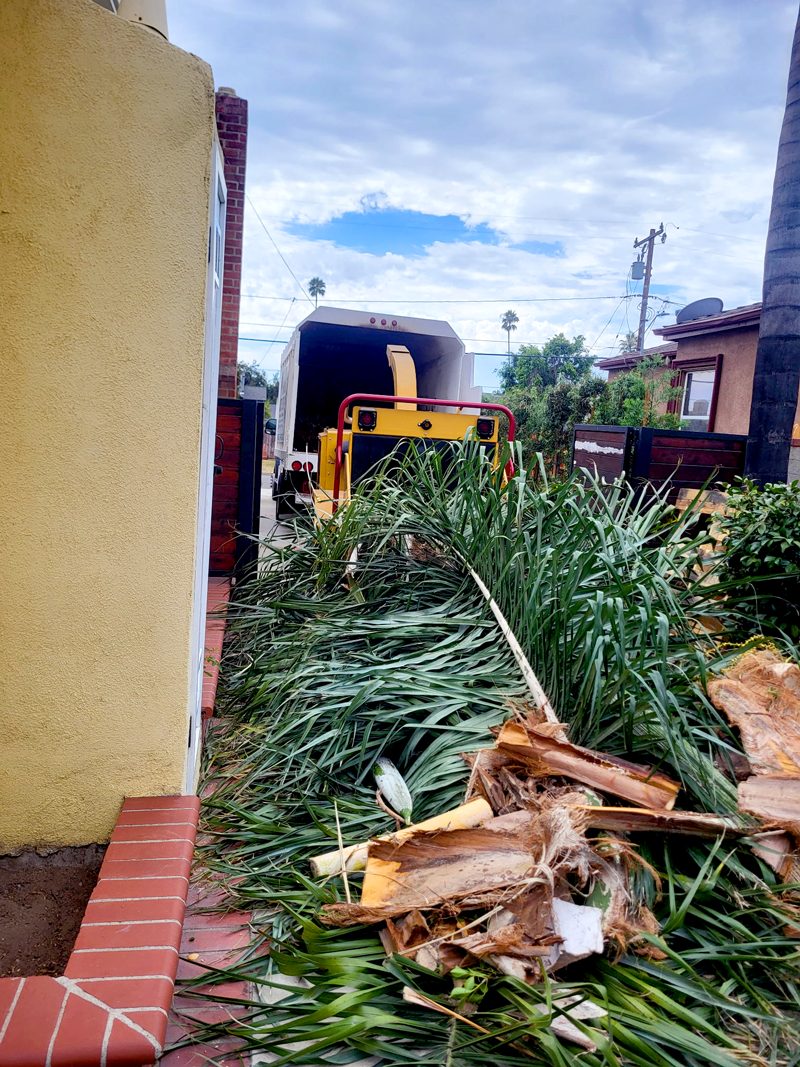 Brush Clearance — Santos Tree Service