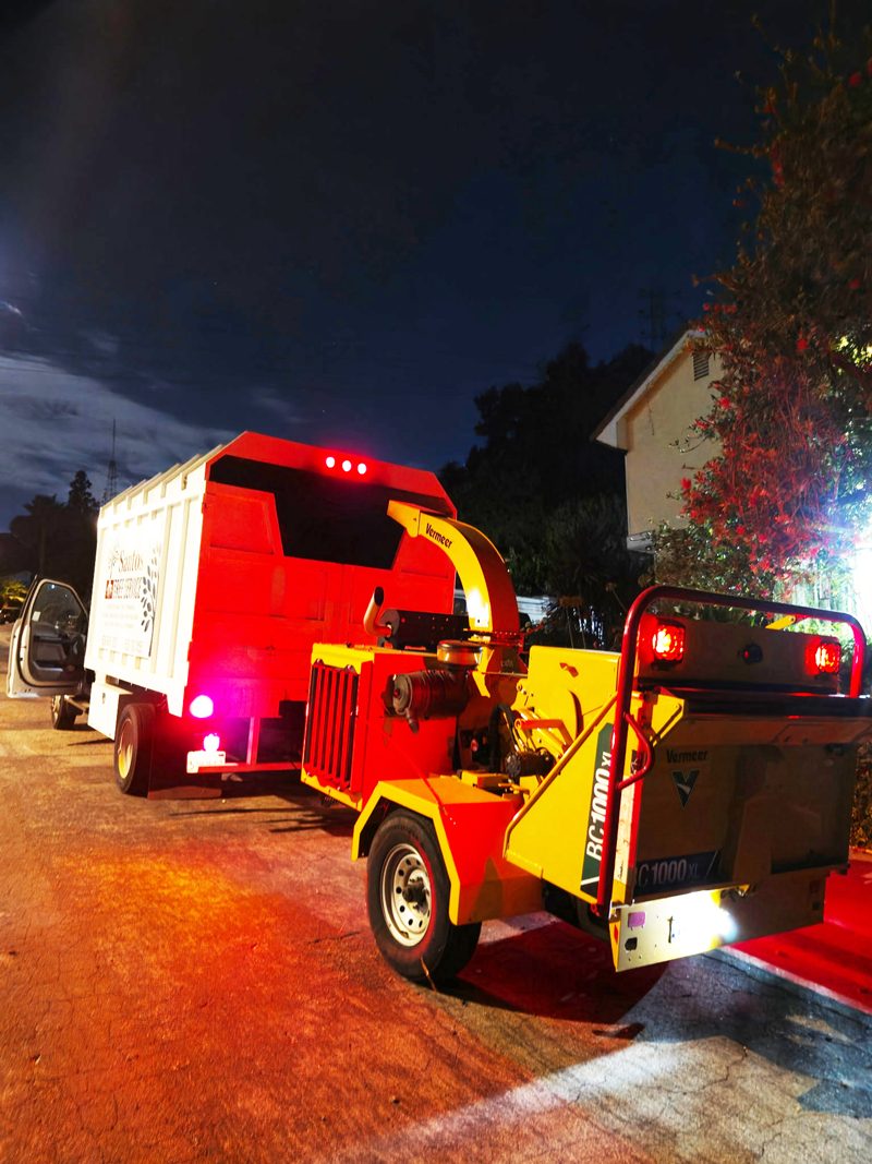 Clean Up — Santos Tree Service