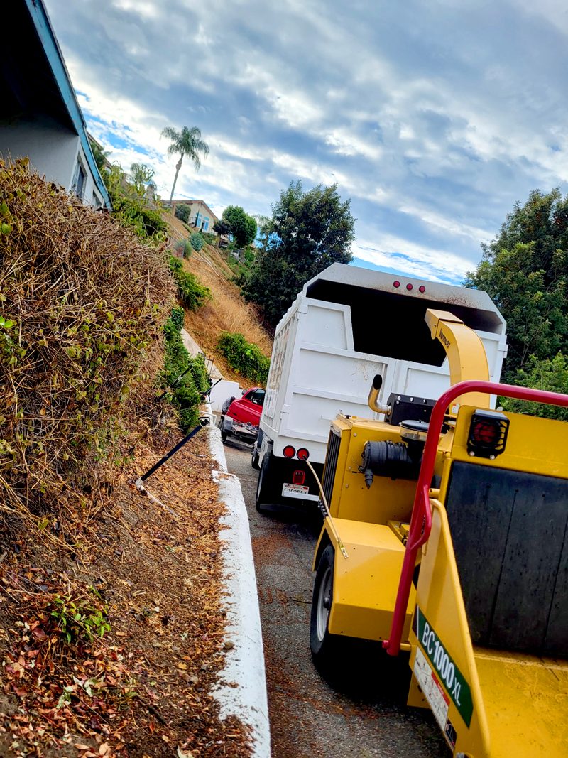 Brush Clearance — Santos Tree Service