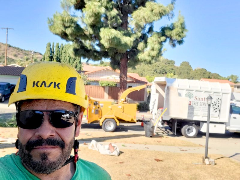 Santos Tree Service crew member with chipper and truck