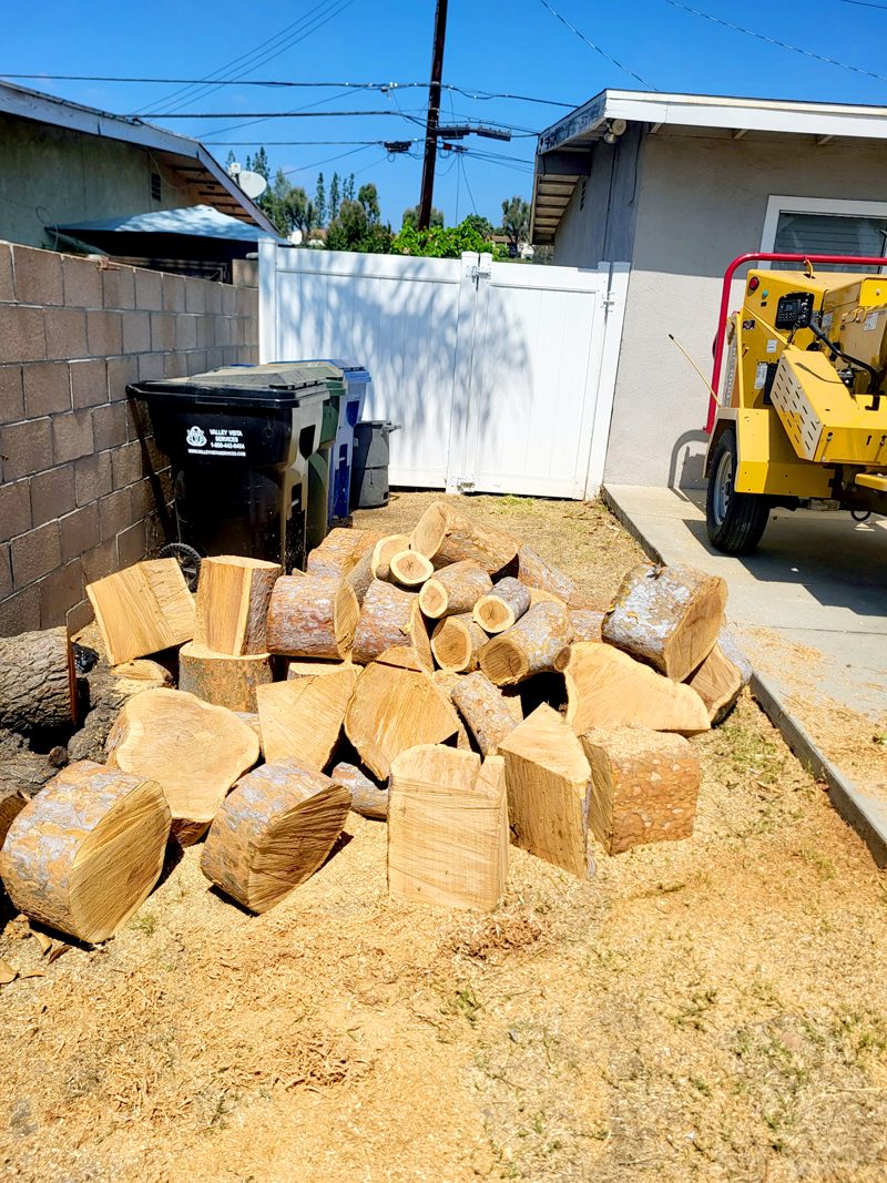 Stump Grinding