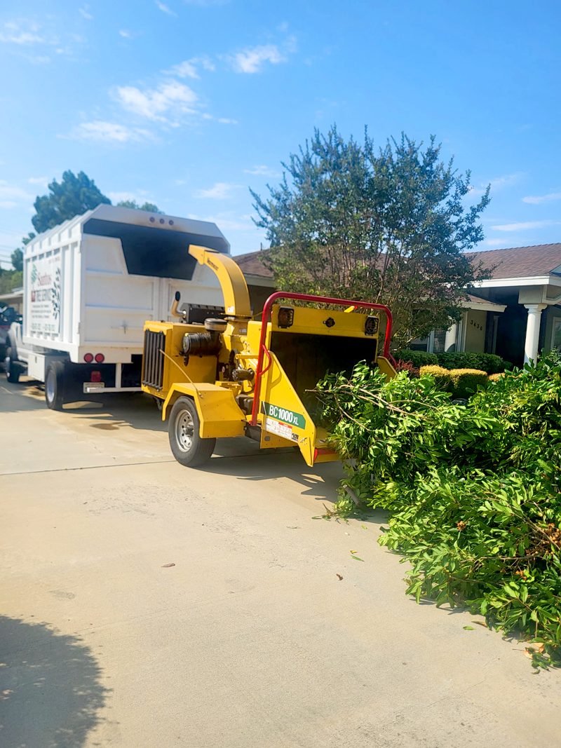 Brush Clearance — Santos Tree Service
