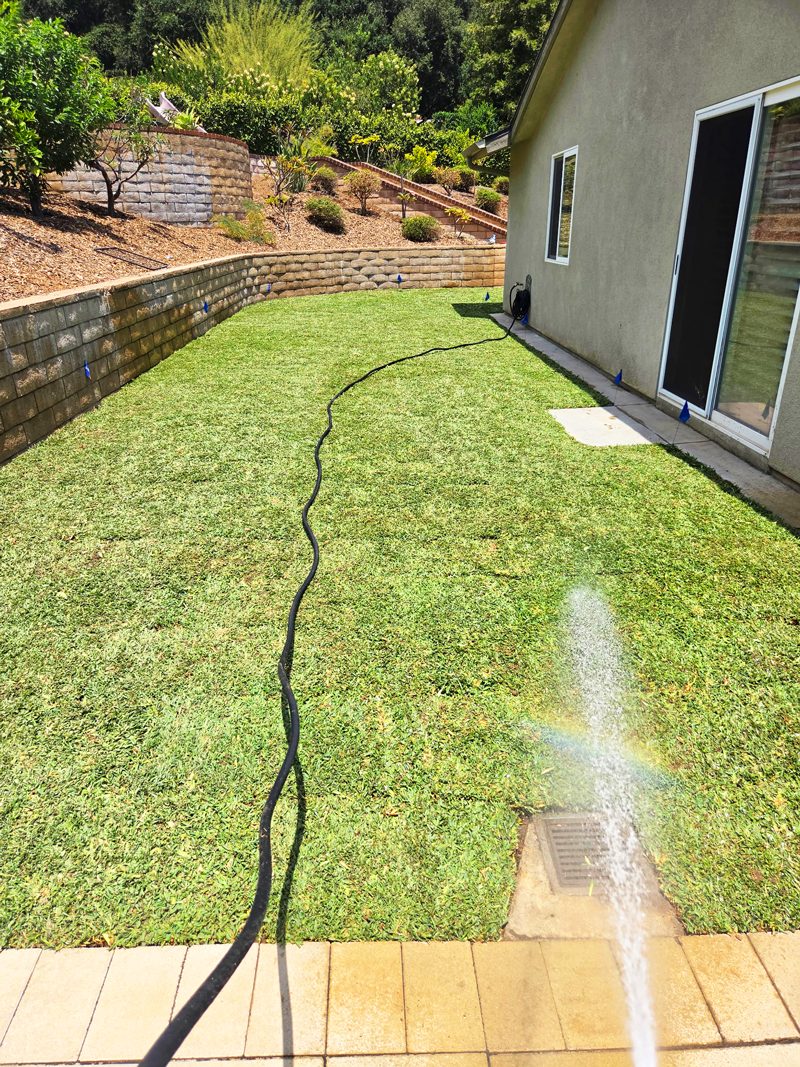 Clean Up — Santos Tree Service