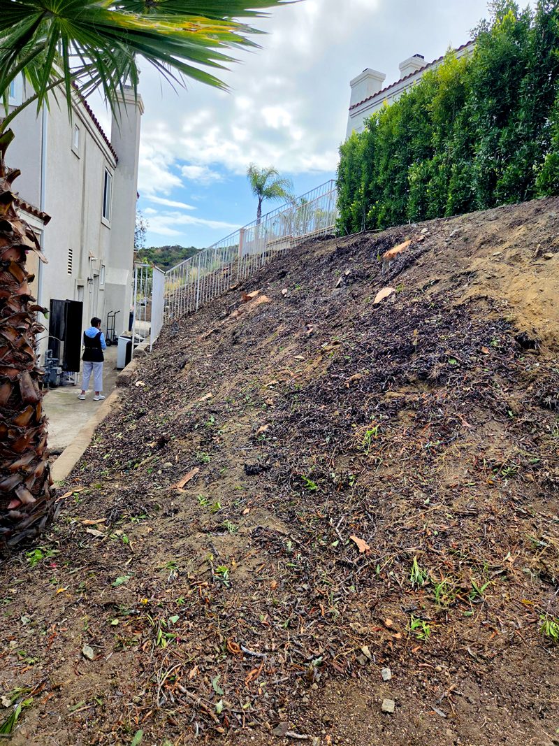 Stump Grinding — Santos Tree Service