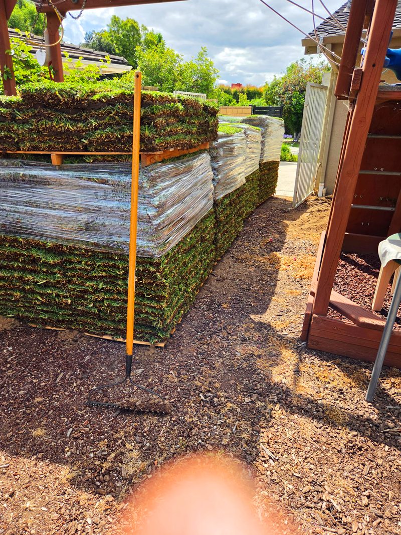 Clean Up — Santos Tree Service