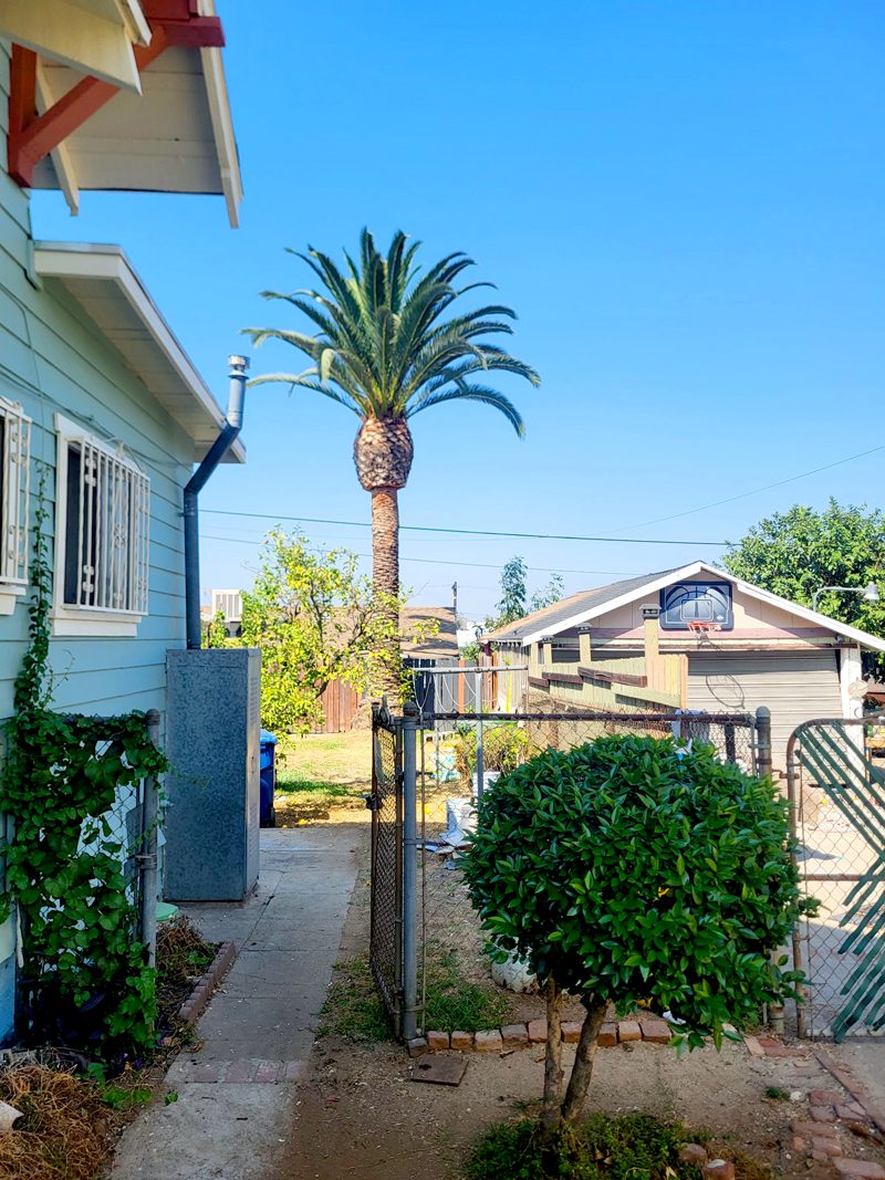 Tree Trimming — Santos Tree Service